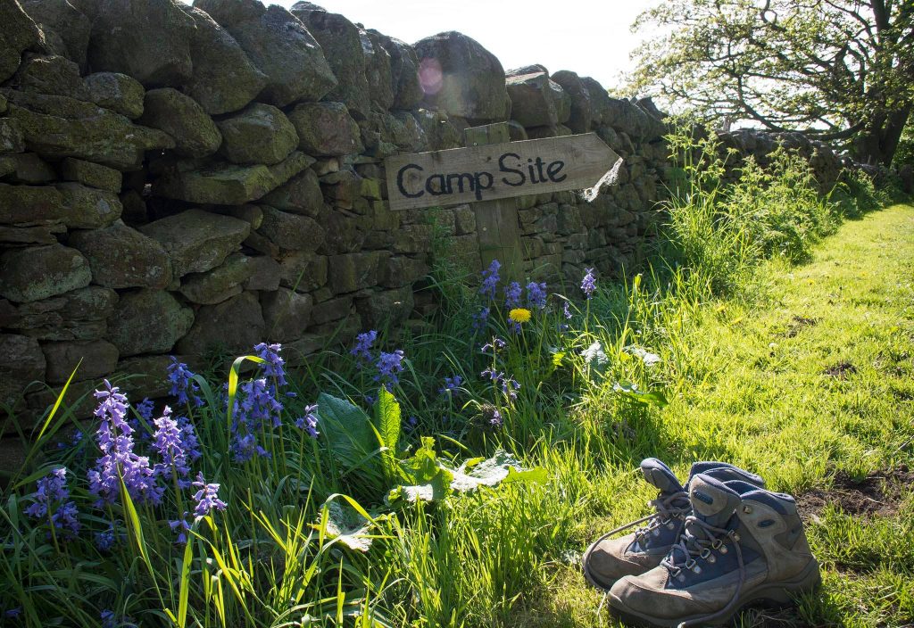 Rye Hill Farm bluebells and campsite